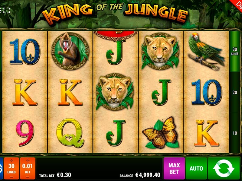 Beginnen Sie die King of the Jungle Demoversion kostenlos zu spielen